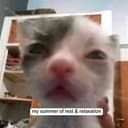 UNICAT