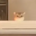 FOMO