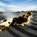 driftcat
