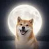 INU