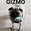 GIZMO