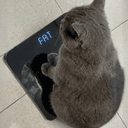 fat