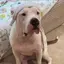 PAWFU