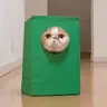 Jinpachi