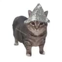 PCAT