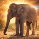 Goonephant