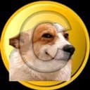 CORGI