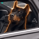 Mafiadog