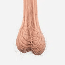 BALLS