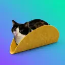 TACOCAT