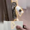 WIFPAPER