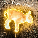 PUBERT
