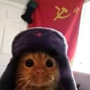 ушанка