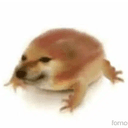 Drog