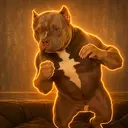 BOXDAWG