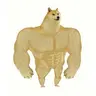 SWOLEDOGE