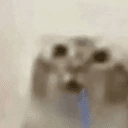 cet