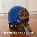 cap