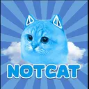 NOTCAT