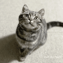 KIKI