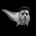 SEMAN