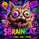 BRAINCAT