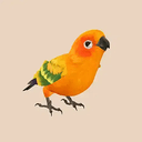 birb-01