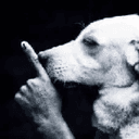 SSSSHHHH