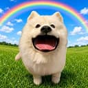 Wuf