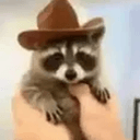RNUT