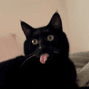 blep