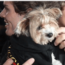 guccidog