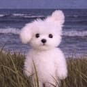 toby