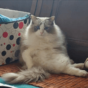 Yuexinmiao