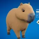 CAPY