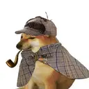PIPEDOG
