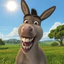 Donkey