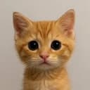 Neko