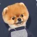 Jiffpom