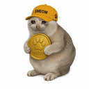 $MEOW