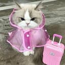 FBCat