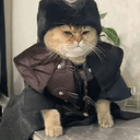 turkcat