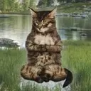 zen