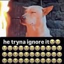 IGNORE