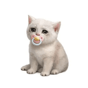 BABYCASH