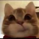 Tina