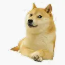 $DOGE