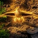 GUARDIAN
