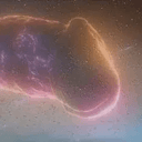Penis