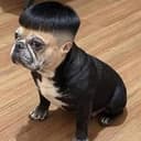 Edgar